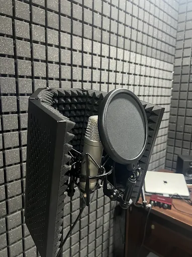 Studio condenser microphone with reflection filter and pop shield